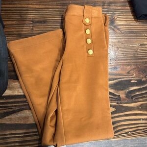 Iris Setlakwe Wide Leg Pants in Rust Orange